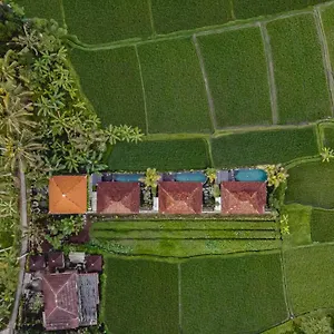 airsania-ubud-antique-villas.ubudhotelsnow.com/